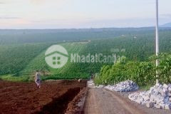 Sky valley không gian nghỉ dưỡng đỉnh cao tại bảo lộc, shr, 950trnền. lh0931790389