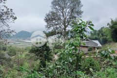 Cơ hội sở hữu mảnh đất gần 300m2 tại sả xéng thích hợp đầu tư đón sóng quy hoạch