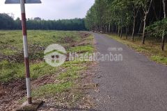 Còn vài lô sổ sẵn, mặt tiền nhựa 6m, chỉ hơn 400 triệu