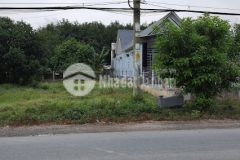 Cần bán gấp lô đất mt đường cây trôm mỹ khánh, 216m2 giá 1 tỷ1.