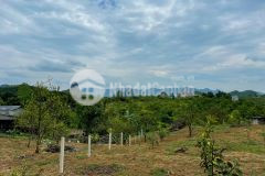 Bán 1500m đất giá rẻ tại thu phong cao phong hòa bình