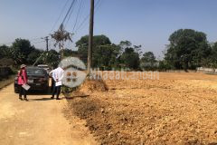 Sơn tây tiềm năng tăng giá gà đẻ trứng vàng 460m giá 4,5tr mua là lãi