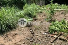 Cho thuê đất vị trí đẹp góc 2 mặt tiền hẻm vườn lài, tân phú.dt ngang 208.5170m2. sát ubppth,tr