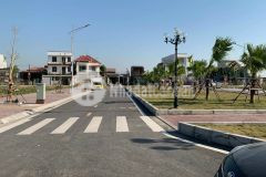 Lô số 117 đấu giá kha lâm 3 cực đẹp