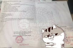 Đất ngay tthc đồng phú 1.xxx tỷ 6x22.5 full thổ cư