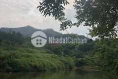 Chính chủ bán đất nghỉ dưỡng lương sơn hoà bình.cách sân golf skylake 1km giá chỉ hơn 2 tỷ