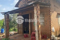 Nhà em kẹt tiền cần 2ha1 đất trồng sầu riêng và bơ,2 mặt tiền đường,2 căn nhà cấp 4 tại đaklak