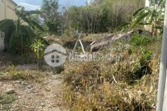 Bán gấp 4500m2 đất hẻm ô tô trần phú vị trí đẹp 22trm2