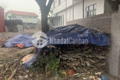 Đất đường trục chính 302