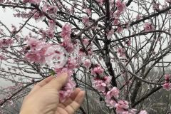 Đất mt siêu rộng 97m, view thung lũng, núi cực đỉnh