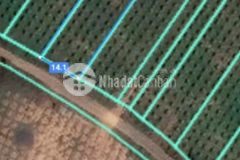 Bán 2 lô đất hòa bình, xuyên mộc,bà rịa vũng tàu.