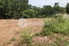 Cần bán mảnh đất rộng hiếm tại vân đồn thích hợp với mọi loại đầu tư