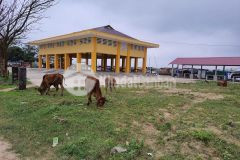 Bán đất chợ gia độ triệu độ quảng trị giá 8xx