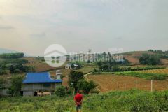 Bán đất giá rẻ tại nam phong cao phong hòa bình