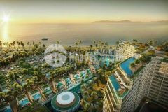 Chính chủ gửi bán 5000m2 cách thùy vân 50m xây 40 tầng