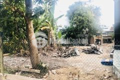 Bán 2 lô đất hẻm cầu dứa phú nông giá 18trm lh 0935029856