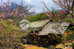 Đất view thung lũng siêu đẹp tại sín chải y tý lào cai