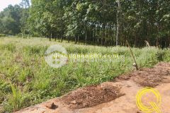 Mua bán đất giá rẻ quảng trị, chỉ 4xx đất đẹp gio sơn gio linh quảng trị 0941076225