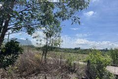 Tân xuân hàm tân 1,1 sào 2 mt đường nhựa giá rẻ nhất