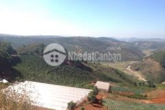 Bán view trên cao ngắm sương mù, chill chill, xuân thọ