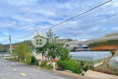 Ra đi nền đất mặt tiền đa phú 18.x triệum2 p7 đà lạt