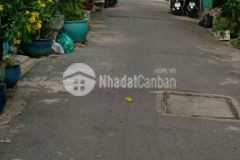 Bán gấp nhà lê đức thọ gò vấp, 44m2, hẻm thông, shr, giá rẻ