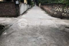 Bán đất xóm mới tự nhiên thường tín 207m lô góc mt 21 phân lô ô tô chạy giá đầu tư mảnh đất hưởng tr