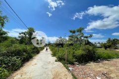 Cần ra đi lô đất khu kinh tế bắc vân phong