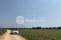 Tân bình lagi rừng vàng gần biển 1 sào 2,2 tỷ