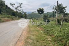 Bay gấp mảnh đất 600m2 mặt đường ql43 mộc châu