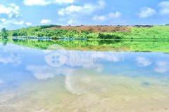 Biệt thự nghỉ dưỡng view hồ cánh bướm, vị trí độc, đẹp hiếm, giá không đâu tốt hơn.