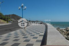 Bán gấp 900m2 đất mặt tiền hạ long ngay lan rừng 33x30 250trm2