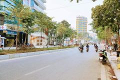 Siêu hiếm nhà mặt phố đào tấn 120m 6m mặt tiền 65 tỷ