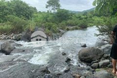 Siêu phẩm bám suối cái với dt 1728,5m2 trong đó có 400m2 thổ cư còn lại là cây lâu năm