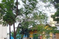 Bán biệt thự cổ pháp, phố trần hưng đạo, hoàn kiếm. dt 750m2. mt 21m