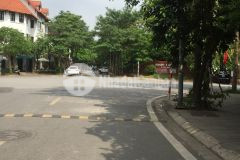 Chính chủ cần bán biệt thự kdt việt hưng long biên, dt 245m, mt 15m, nhỉnh 47 tỷ