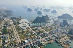 Bán đất nền vân đồn, nằm trên trục chính đường 334, gần kđt phương đông, phù hợp đầu tư kinh doan