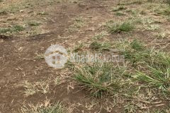 Hàng hot gần 2000m2 giá rẻ chỉ 350tr mua liền tay