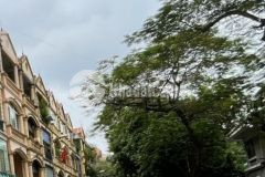 Bán nhà 4 tầng, mặt phố đại từ, linh đàm, dt 74 m2, ô tô, nhỉnh 12 tỷ