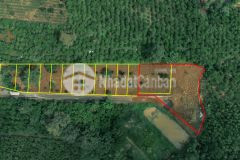 Đất lộc an giá bán cực lời sinh lời cực khủng