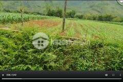 Cơ hội sở hữu mảnh đất hơn 1000m2 tại quản bạ đón sóng cao tốc hà giang tuyên quang