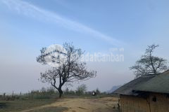 Bán gấp lô đất gần 7000m2 ở mộc châu có pháp lý rõ ràng, an toàn cho nhà đầu tư