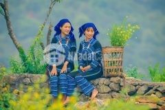 Đất mặt tiền siêu rộng 25m tả phìn sapa lào cai.