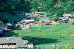 Đất siêu phẩm 2 mt séo mý tỷ tả phìn sapa lào cai