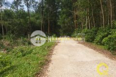 Nhà đất quảng trị thôn an bình, xã thanh an, huyện cam lộ, tỉnh quảng trị