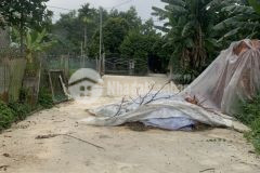 Đất hưởng phước, hoà liên,đoạn gần bãi cát, kiệt rộng 5m, hoà vang