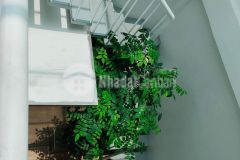 Bán nhà nguyễn trãi,thanh xuân