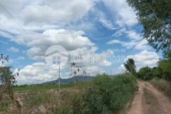 Tân lập hàm thuận nam 56 mẫu 1,8 tỷm