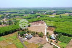 Gấp cần ra gấp 2 lô đất nền kv phước long thọ, đất đỏ