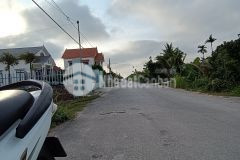 Đất nền đồ sơn, vị trí đẹp đường nhựa chỉ 1,x tỷ